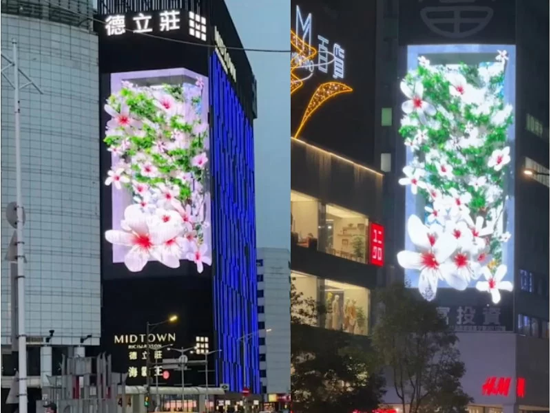 客家委員會 桐花祭 客家委員會 桐花祭