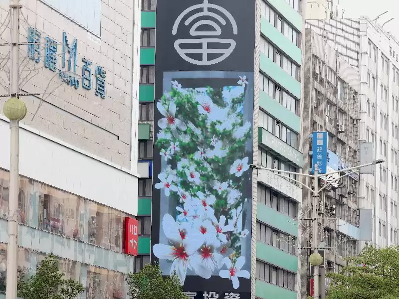 客家委員會 桐花祭