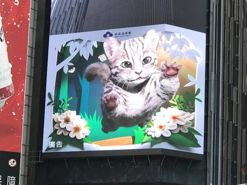 客家委員會 客家日 客家委員會 客家日