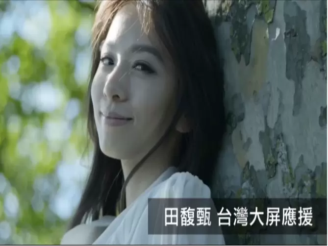 慶祝田馥甄 HEBE 330生日