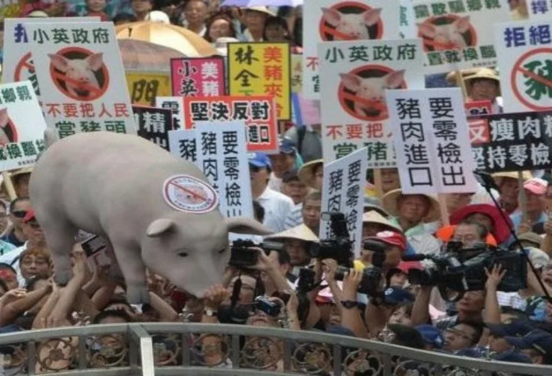 500豬農抗議美豬政策 500豬農抗議美豬政策